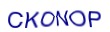simple_captcha.jpg