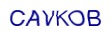 simple_captcha.jpg