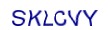 simple_captcha.jpg