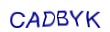 simple_captcha.jpg